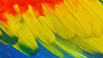 exattamento arpino analogie istud