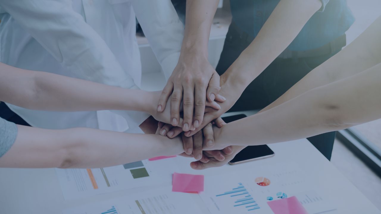 Performing cooperation mediare le divergenze