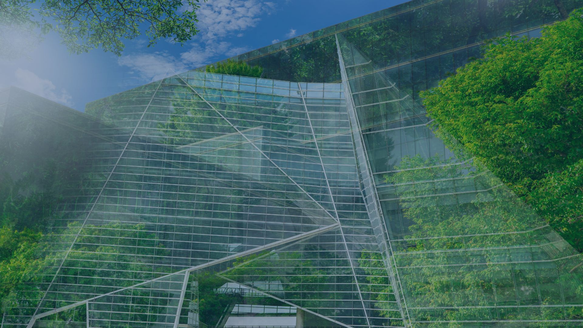 Sustainability reporting