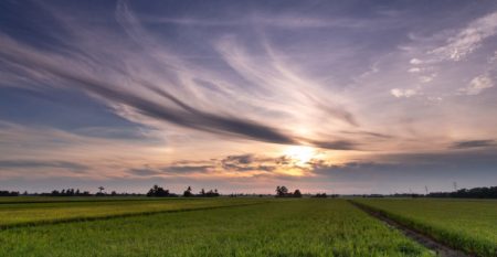 food industry sostenibilita food industry sostenibilita