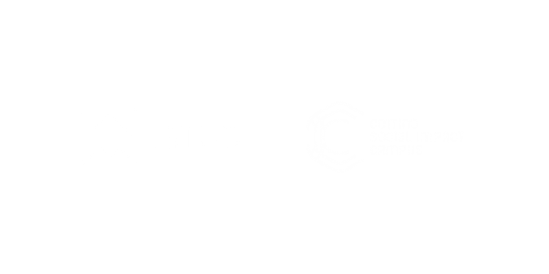 Logo Istud Cottino Master Risorse Umane e Organizzazione