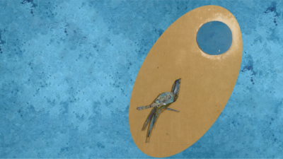 master in medicina narrativa