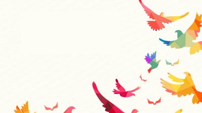 progetto Birds medicina narrativa