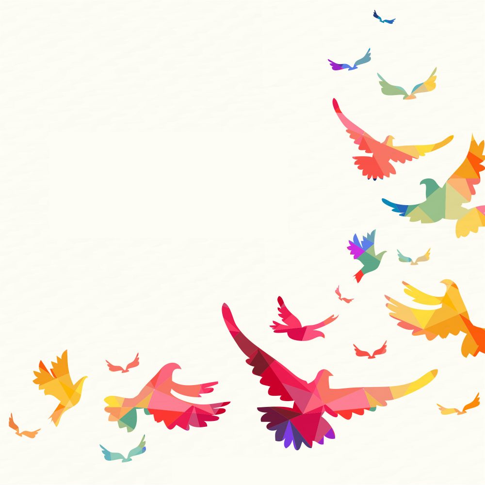 progetto Birds medicina narrativa