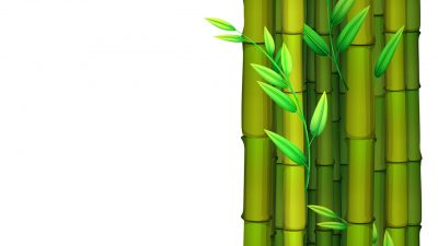 spare progetto medicina narrativa