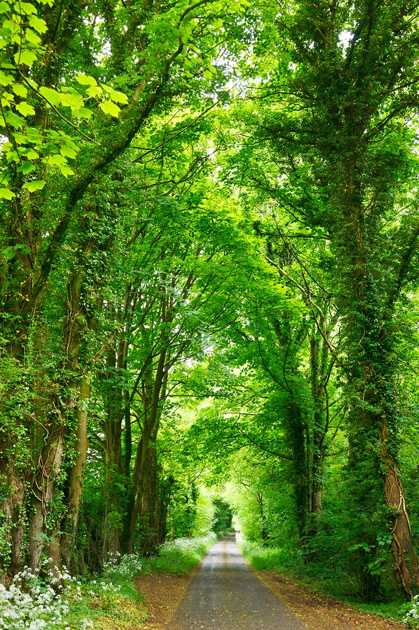 locandina green italia day